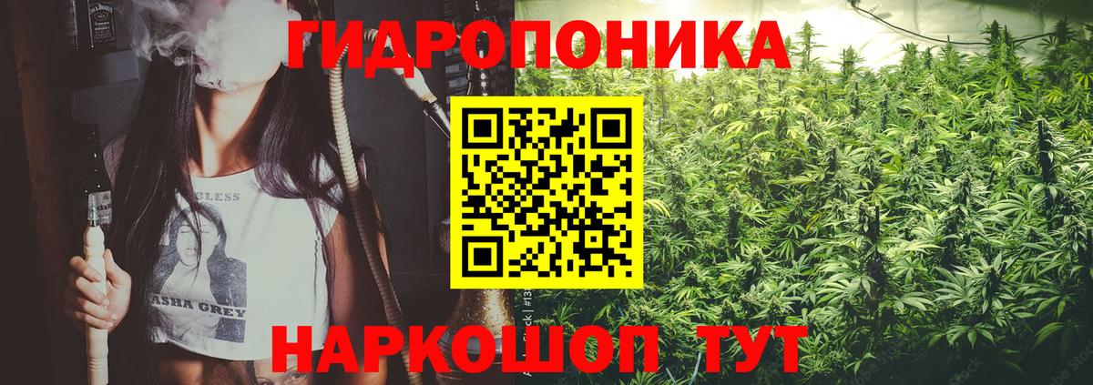 Шишки марихуана Amnesia  Вход с VPN  Конопля ГИДРОПОН  Конопля планчик  Шарыпово  Бошки марихуана индика 